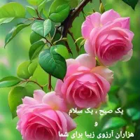 تولید محتوا برای پیج