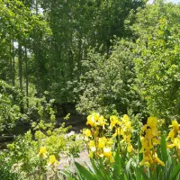 اجاره ویلا در باغ بهادران باغ بهادران|اجارهٔ کوتاهمدت ویلا و باغ|باغ بهادران, |دیوار