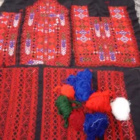 زی استین