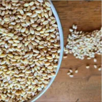گندم کلتی تمیز و پاک شده