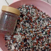 آکواریوم شیشه خم بالوازم|ماهی|نسیم‌شهر, |دیوار