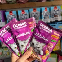 انواع ووم،کنسرو،پوچ های خارجی با تنوع بالا