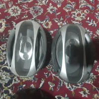 باند پایونر