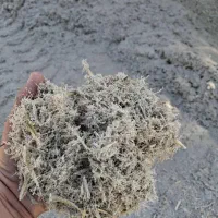 یونجه و کاه