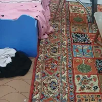 قالی|فرش|رامهرمز, |دیوار