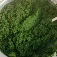 سبزی خورشتی رامهرمز|خوردنی و آشامیدنی|شاهین‌شهر, فردوسی|دیوار