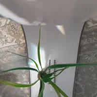 اکواریوم|ماهیگیری|ارومیه, |دیوار