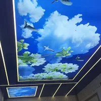 فروش و اجرای سقف کشسان و آسمان مجازی بجای گچ و....