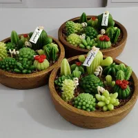 ظرف کاکتوس شمعی کد ۱۰۳