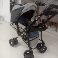 کالسکه مدل دلیجان معاوضه با مرغ و خروس