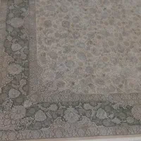 فرش|فرش|دامغان, |دیوار