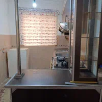 دو خواب جمهوری۱ مستقل زیر قیمت