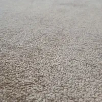 موکت پالاز ، ظریف مصور ، طرح پارکت