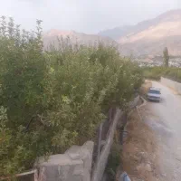 فروش باغ ۳۰۰۰ متری، شهر سیسخت(دنا )