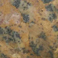 زمین-هزار-متری-در-کودیان