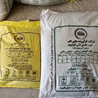 کود کشاورزی پاییزه