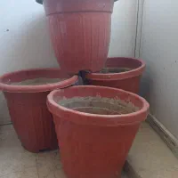 گلدان پلاستیکی