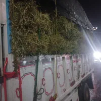 فروش کاه یونجه