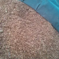 توفاله‌سیب‌به‌قیمت‌روز‌