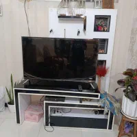 زیر تلویزیونی