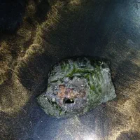 سنگ آبسیدین