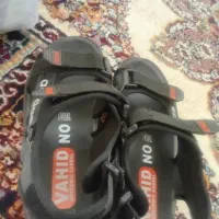 کفش اسپورت