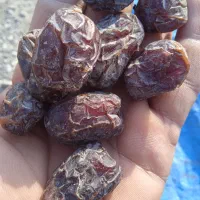 خرما مرداسنگ درجه یک|خوردنی و آشامیدنی|توکهور, |دیوار