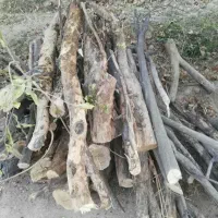 چوب درجه یک،شومینه،ذغالی