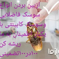 خدمات سمپاشی|خدمات نظافت|پردیس, فاز ۲|دیوار