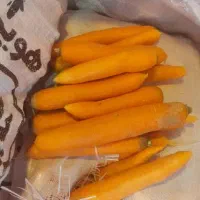 هویج عمده آبگیری مغازه درجه یک میدان تره بار مرکزی|خوردنی و آشامیدنی|تهران, میدان میوه و تره‌بار مرکزی|دیوار