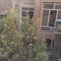 زمین-شمالی-73-متری