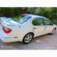 ماکسیما درحد خشک کلکسیونی