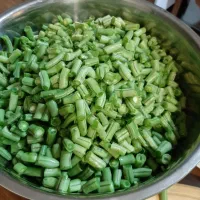 لوبیا استانبولی خرد شده آماده|خوردنی و آشامیدنی|رشت, چله خانه|دیوار