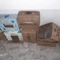 کارتن موزی