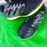 کفش ورزشی سالنی