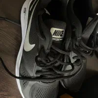 کتونی|کیف، کفش، کمربند|ساری, |دیوار