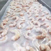 میگو درجه یک|خوردنی و آشامیدنی|شاهین‌شهر, فردوسی|دیوار