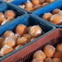 ۵ تن پرتقال انباری