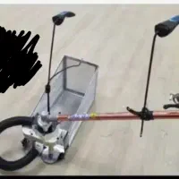 زعفران چین فروشی