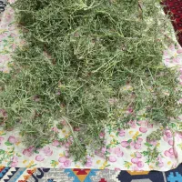 خارمشک و آویشن