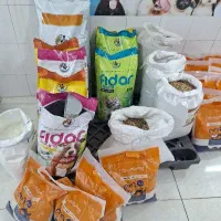 داروخانه دامپزشکی و پت شاپ دکتر قاسمی