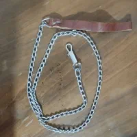 قلاده سگ نو نو