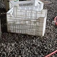 جعبه ،سبد درجه یک ترتمیز