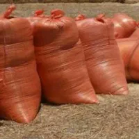 علف سبز دام