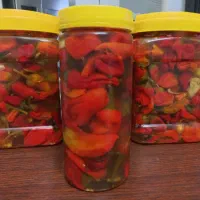 انواع ترشیجات خانگی/ عربی،بادمجان،فلفل|خوردنی و آشامیدنی|تهران, زهتابی|دیوار