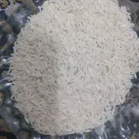 فروش ویژه برنج طارم محلی ، تازه برداشت|خوردنی و آشامیدنی|محمدیه-قزوین, |دیوار