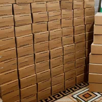 دو نیرو خانم بسته بندی مذهبی نیمه وقت