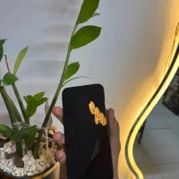 13promax zaa256|موبایل|تربتحیدریه, منصوریه|دیوار