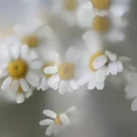 کار در منزل