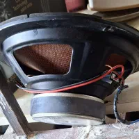 ۵ عدد میدرنج ۸